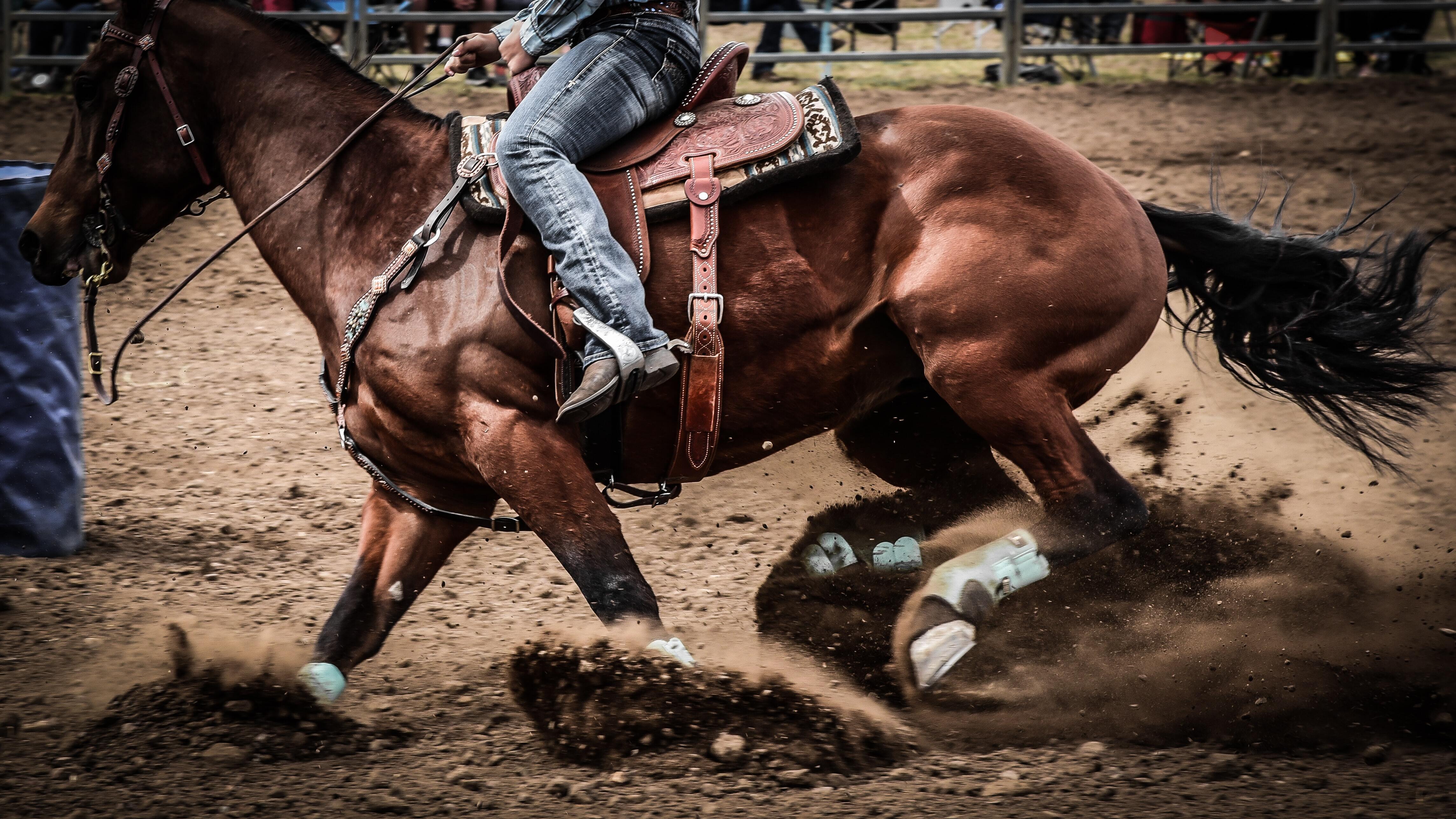 Alysha Used Daily Gold to Calm Anxiety in Her Horse | A Redmond Story