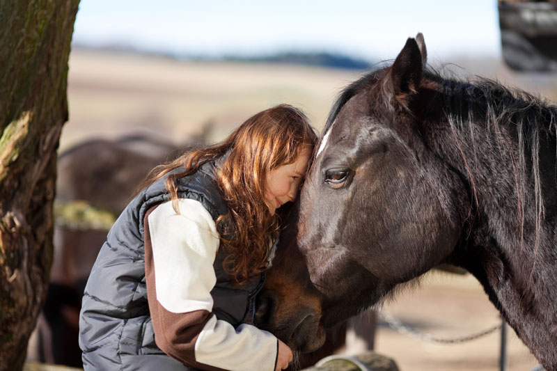 It’s Not Just a Horse…