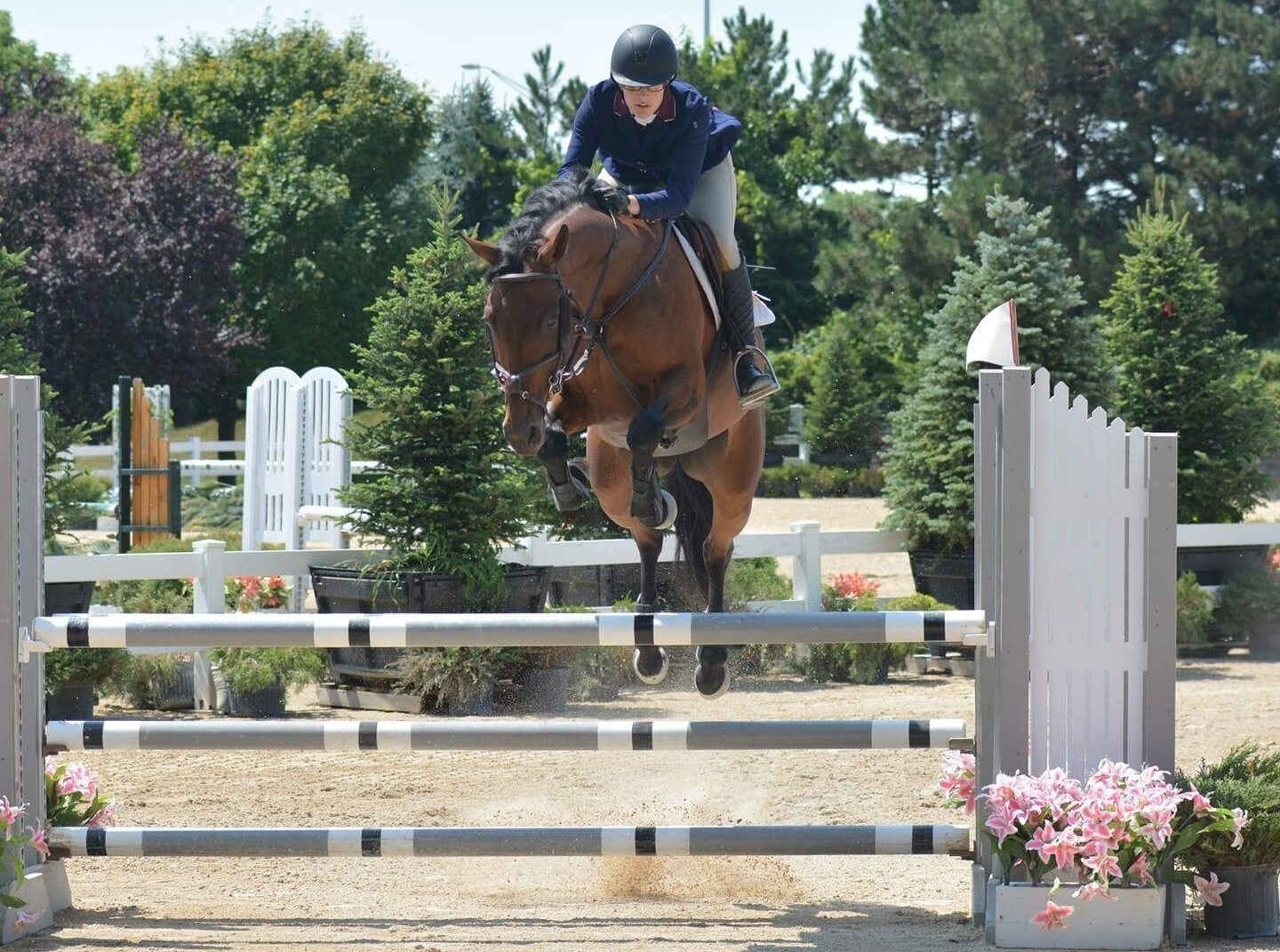 Rebecca's Horses Showed Signs of Digestive Stress | A Redmond Story